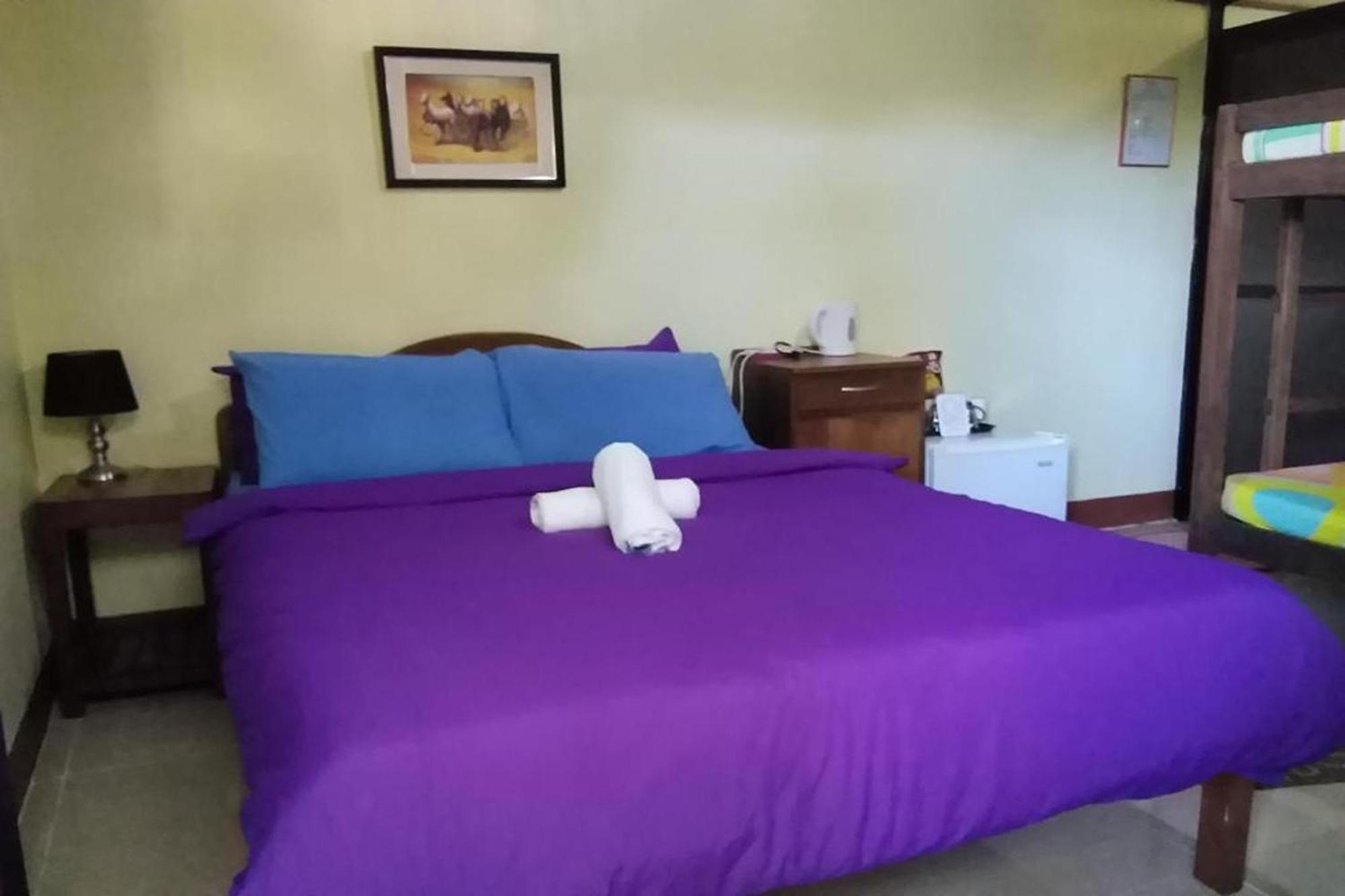 Citadel Bed And Breakfast Puerto Princesa Dış mekan fotoğraf
